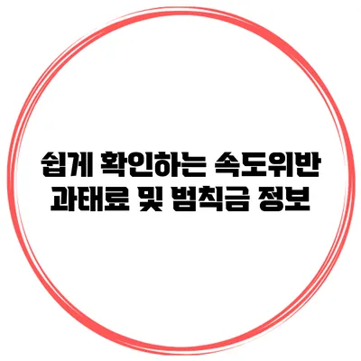 쉽게 확인하는 속도위반 과태료 및 범칙금 정보