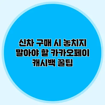 신차 구매 시 놓치지 말아야 할 카카오페이 캐시백 꿀팁