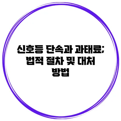 신호등 단속과 과태료; 법적 절차 및 대처 방법