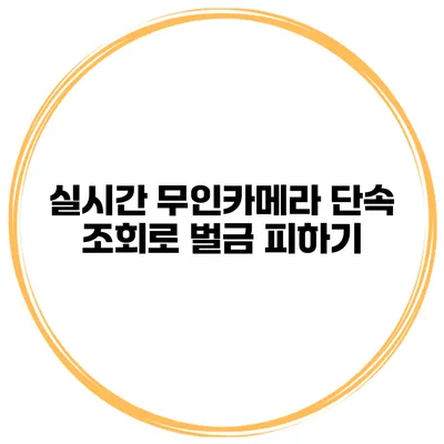 실시간 무인카메라 단속 조회로 벌금 피하기