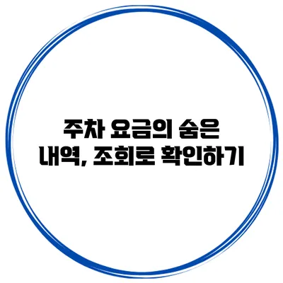 주차 요금의 숨은 내역, 조회로 확인하기
