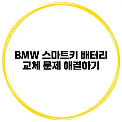 BMW 스마트키 배터리 교체 문제 해결하기