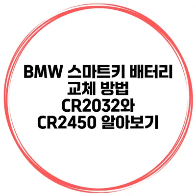 BMW 스마트키 배터리 교체 방법 CR2032와 CR2450 알아보기