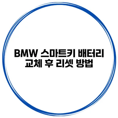 BMW 스마트키 배터리 교체 후 리셋 방법