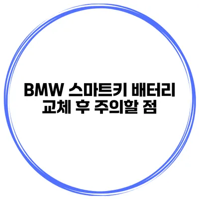 BMW 스마트키 배터리 교체 후 주의할 점