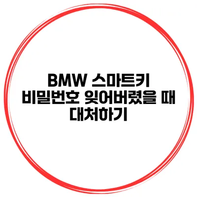 BMW 스마트키 비밀번호 잊어버렸을 때 대처하기