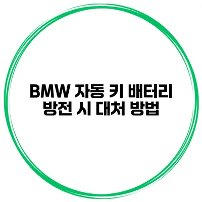 BMW 자동 키 배터리 방전 시 대처 방법