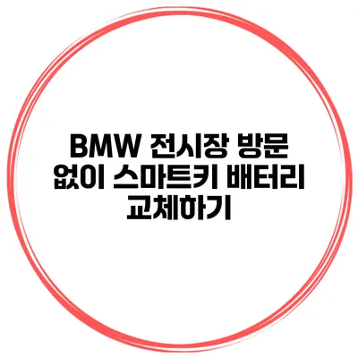 BMW 전시장 방문 없이 스마트키 배터리 교체하기