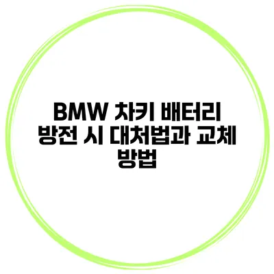 BMW 차키 배터리 방전 시 대처법과 교체 방법