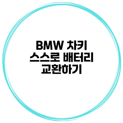 BMW 차키 스스로 배터리 교환하기