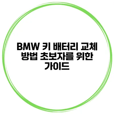 BMW 키 배터리 교체 방법 초보자를 위한 가이드