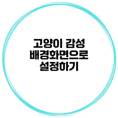 고양이 감성 배경화면으로 설정하기