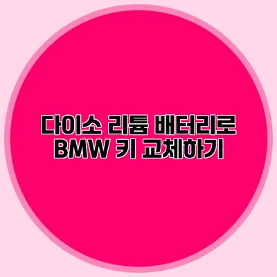 다이소 리튬 배터리로 BMW 키 교체하기