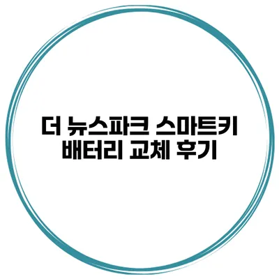 더 뉴스파크 스마트키 배터리 교체 후기