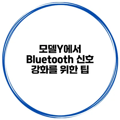 모델Y에서 Bluetooth 신호 강화를 위한 팁