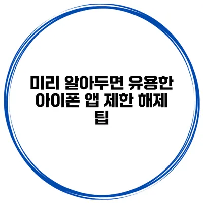 미리 알아두면 유용한 아이폰 앱 제한 해제 팁