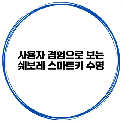 사용자 경험으로 보는 쉐보레 스마트키 수명