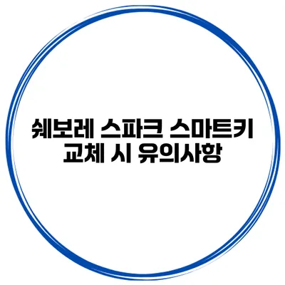쉐보레 스파크 스마트키 교체 시 유의사항