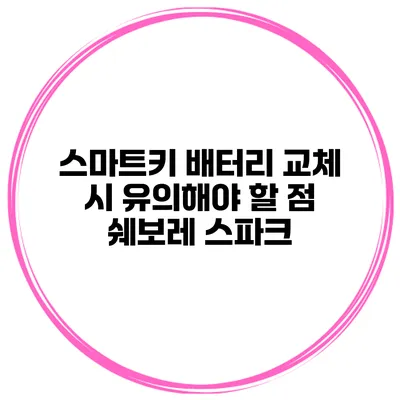 스마트키 배터리 교체 시 유의해야 할 점 쉐보레 스파크