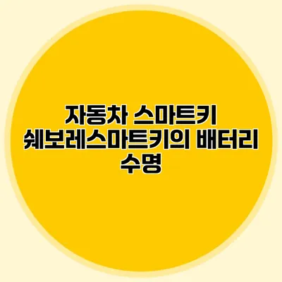 자동차 스마트키 쉐보레스마트키의 배터리 수명